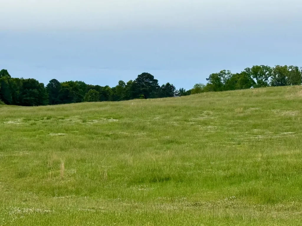 0 County Road 63 Houston AL 35572