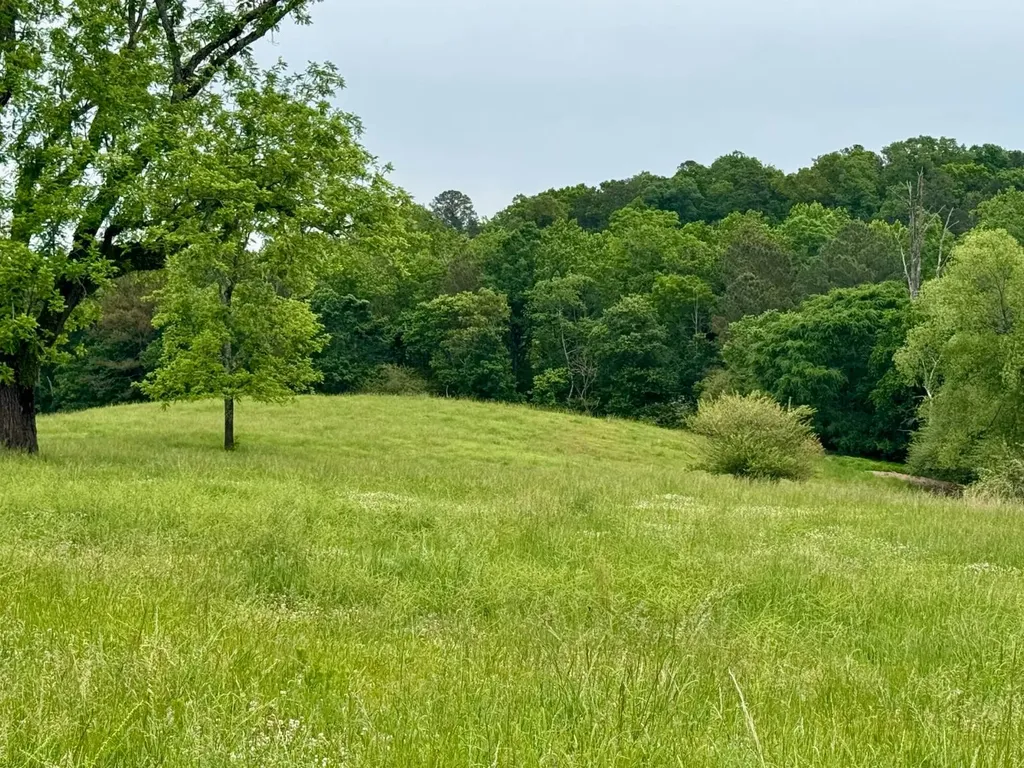 0 County Road 63 Houston AL 35572