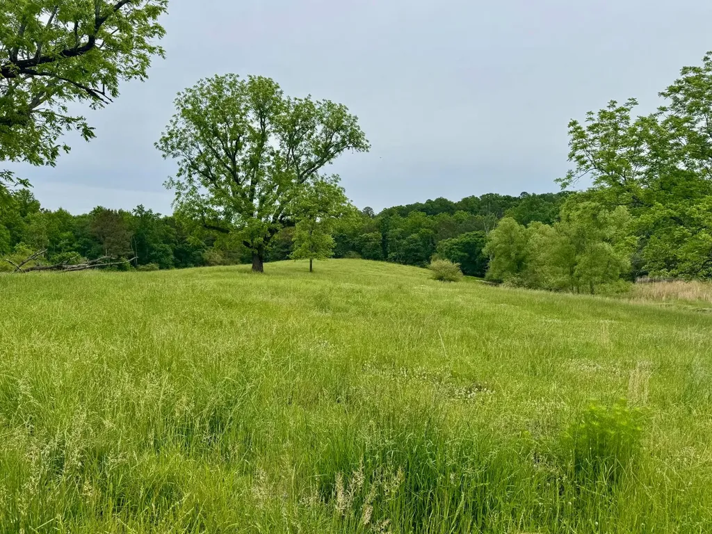 0 County Road 63 Houston AL 35572