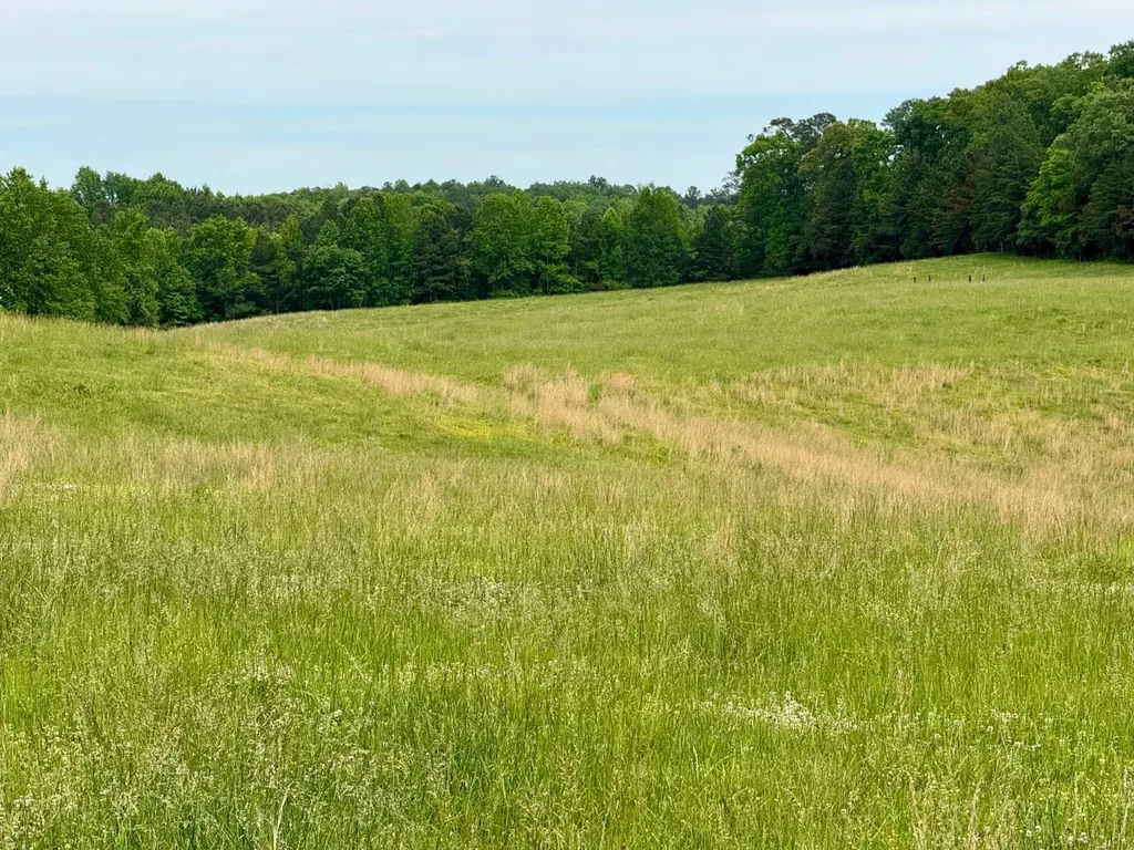 0 County Road 63 Houston AL 35572