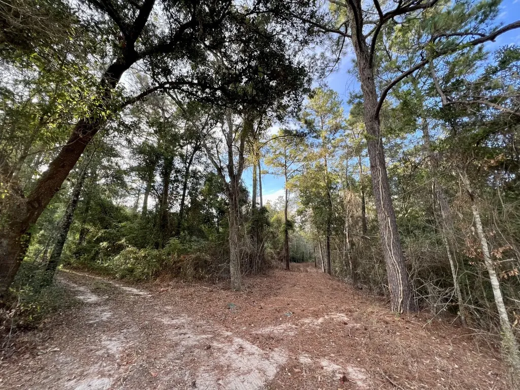 0 Riviere Du Chien Road Mobile AL 36693