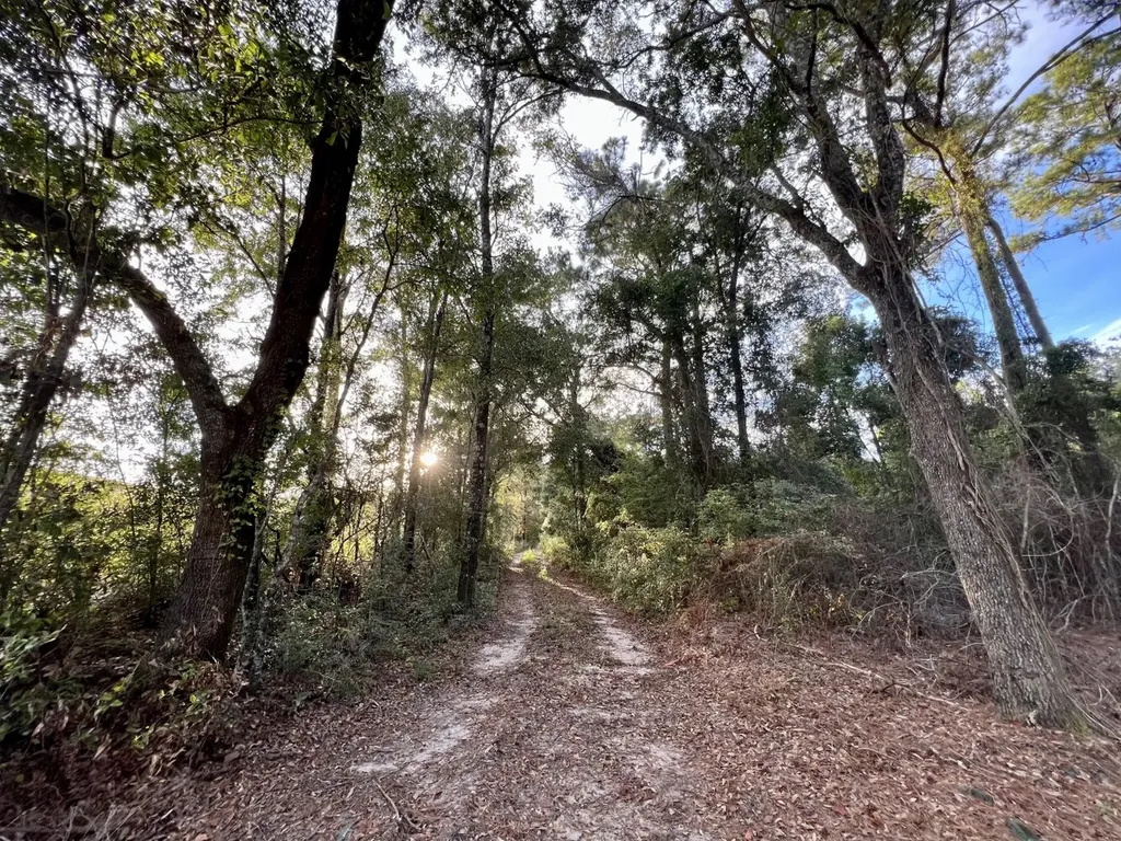 0 Riviere Du Chien Road Mobile AL 36693