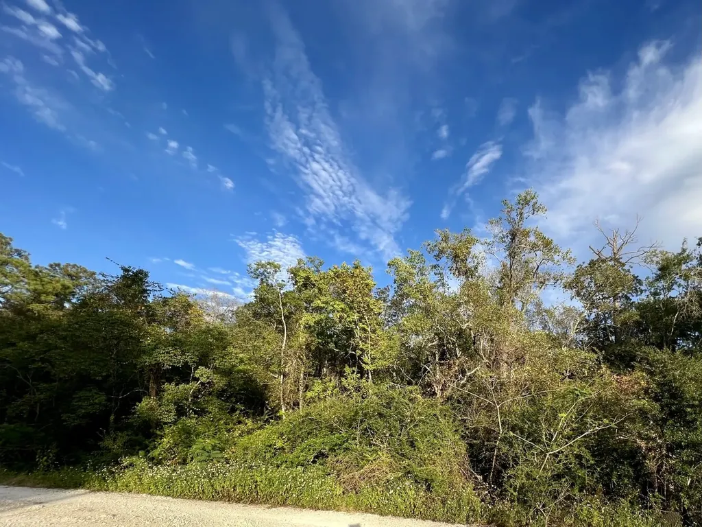 0 Riviere Du Chien Road Mobile AL 36693