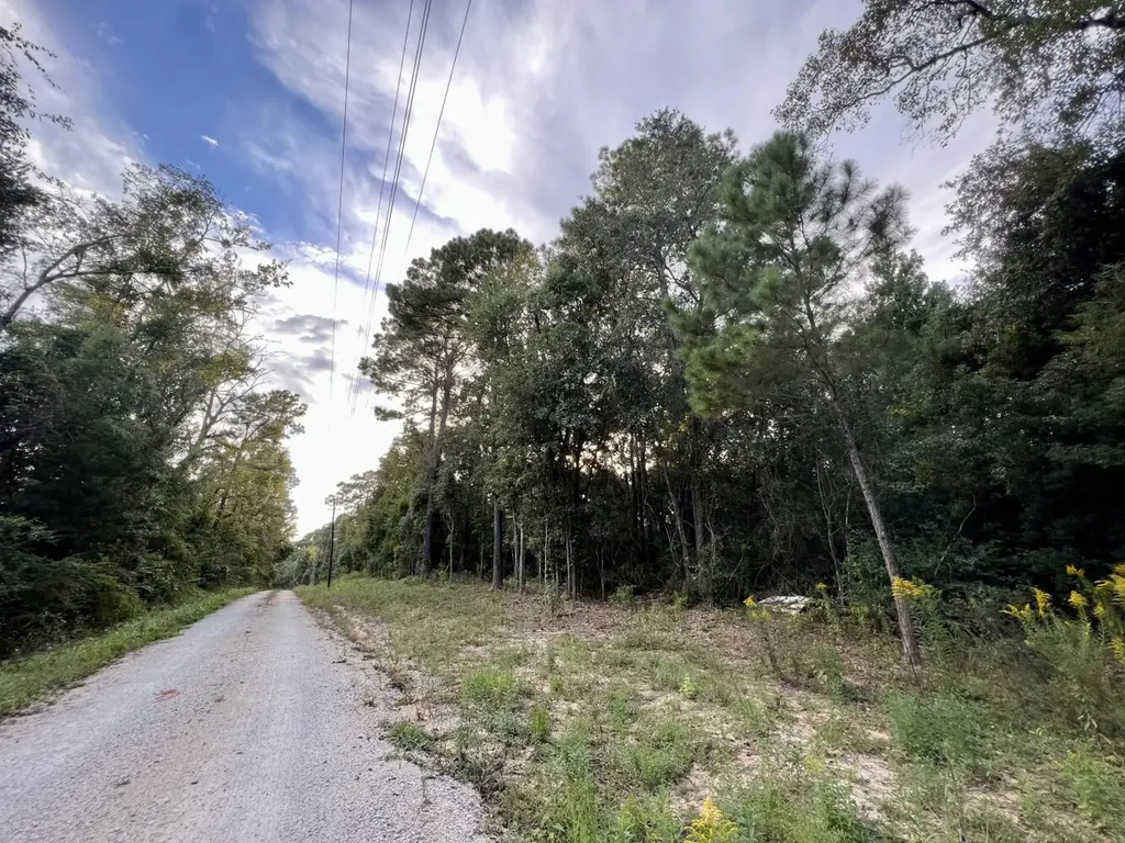 0 Riviere Du Chien Road Mobile AL 36693