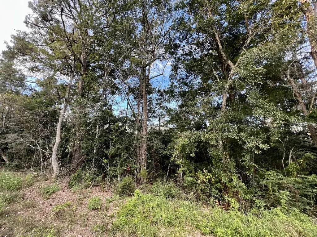 0 Riviere Du Chien Road Mobile AL 36693