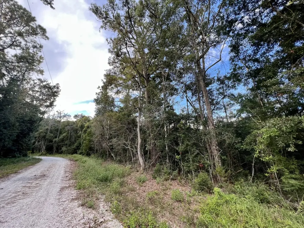 0 Riviere Du Chien Road Mobile AL 36693