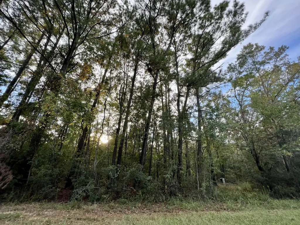 0 Riviere Du Chien Road Mobile AL 36693