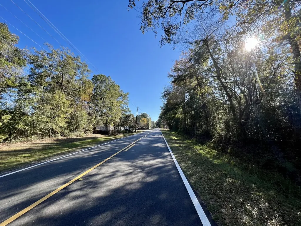 0 Riviere Du Chien Road Mobile AL 36693