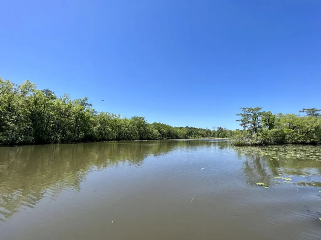 0 Riviere Du Chien Road Mobile AL 36693