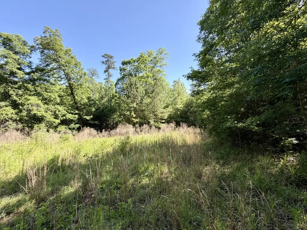 0 Burnout Road Brantley AL 36009