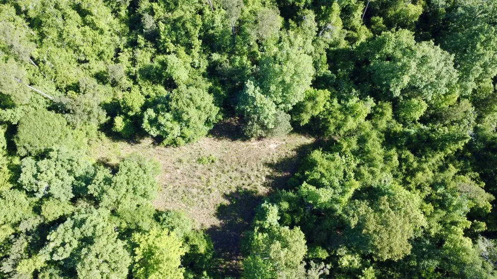 0 Burnout Road Brantley AL 36009