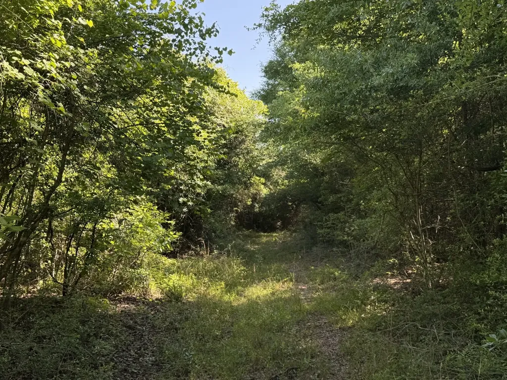 0 Burnout Road Brantley AL 36009