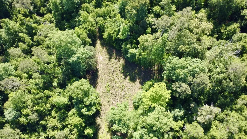 0 Burnout Road Brantley AL 36009