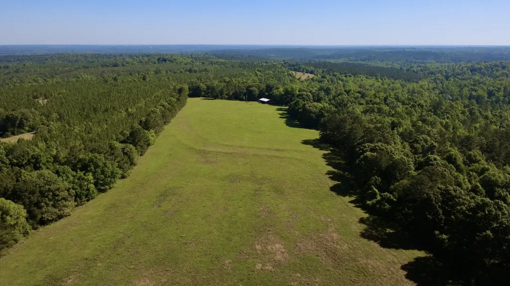 0 Burnout Road Brantley AL 36009