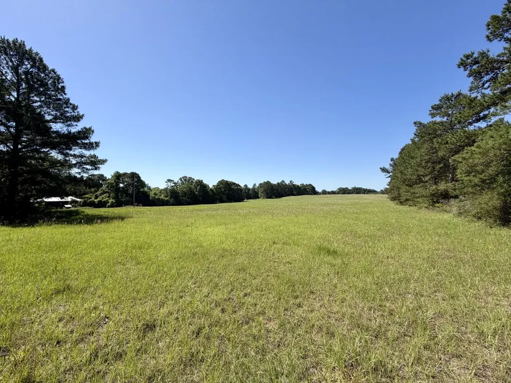 0 Burnout Road Brantley AL 36009