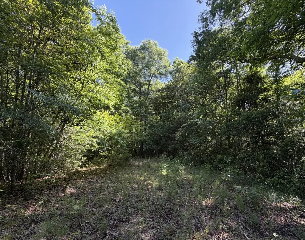 0 Burnout Road Brantley AL 36009