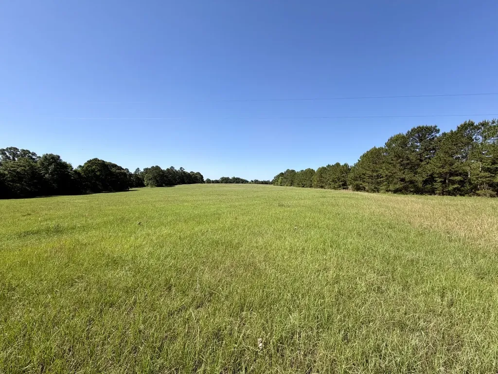 0 Burnout Road Brantley AL 36009