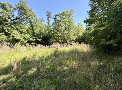 0 Burnout Road Brantley AL 36009