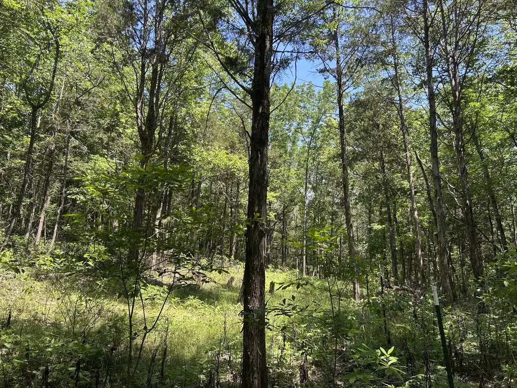 1727 County Road 17 Scottsboro AL 35768