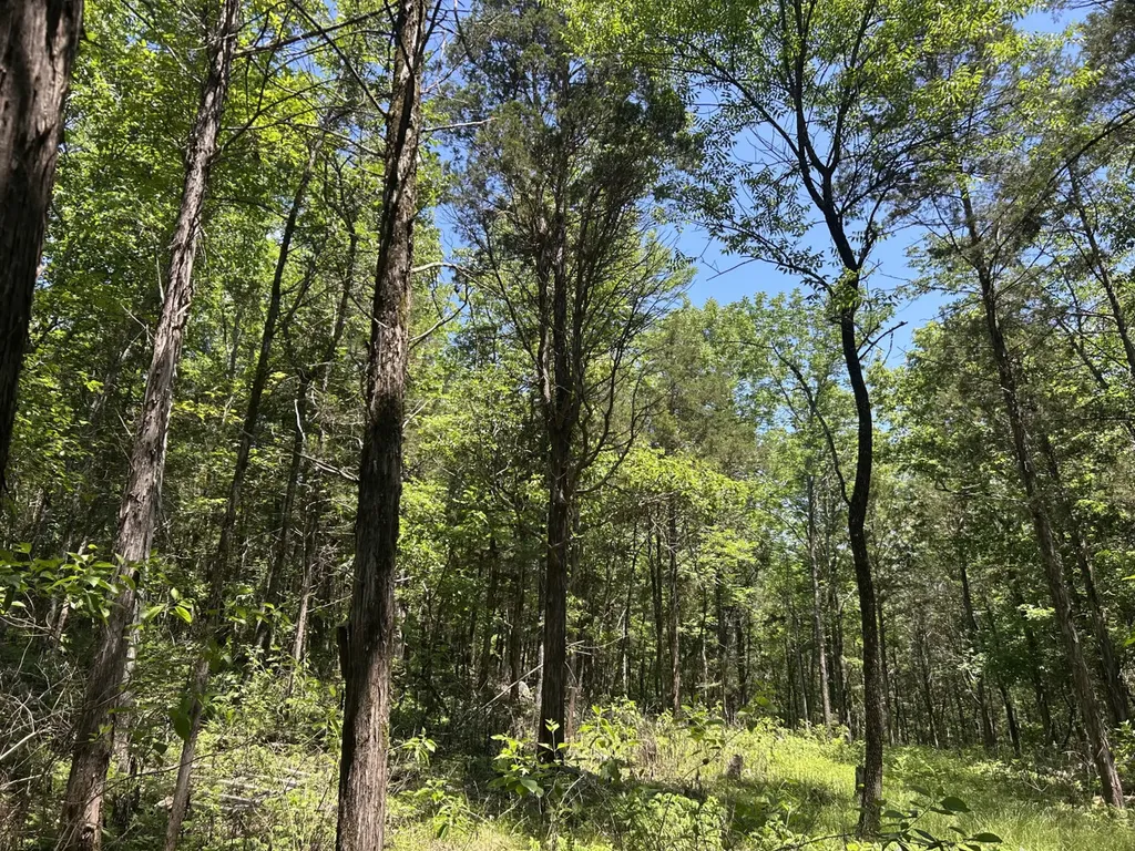 1727 County Road 17 Scottsboro AL 35768