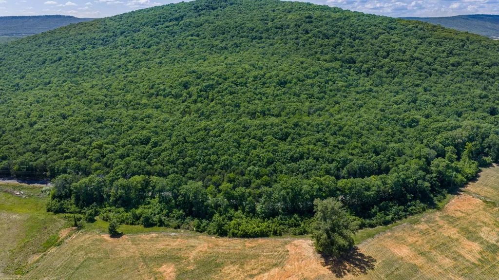 1727 County Road 17 Scottsboro AL 35768