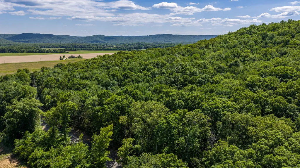 1727 County Road 17 Scottsboro AL 35768