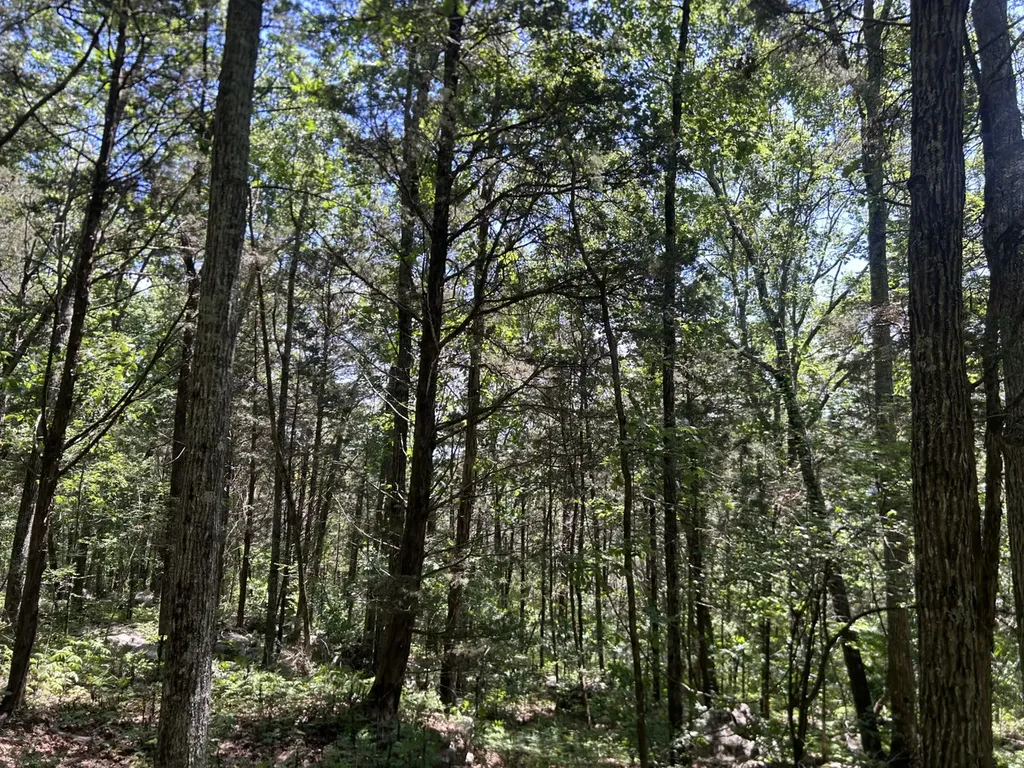 1727 County Road 17 Scottsboro AL 35768