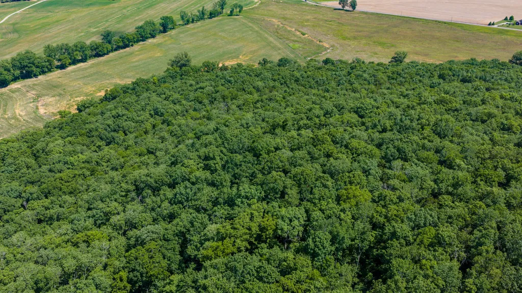 1727 County Road 17 Scottsboro AL 35768