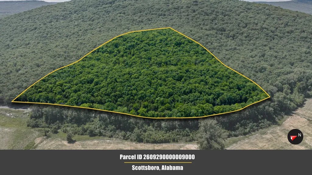 1727 County Road 17 Scottsboro AL 35768