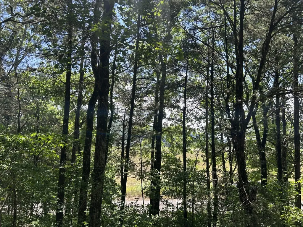 1727 County Road 17 Scottsboro AL 35768