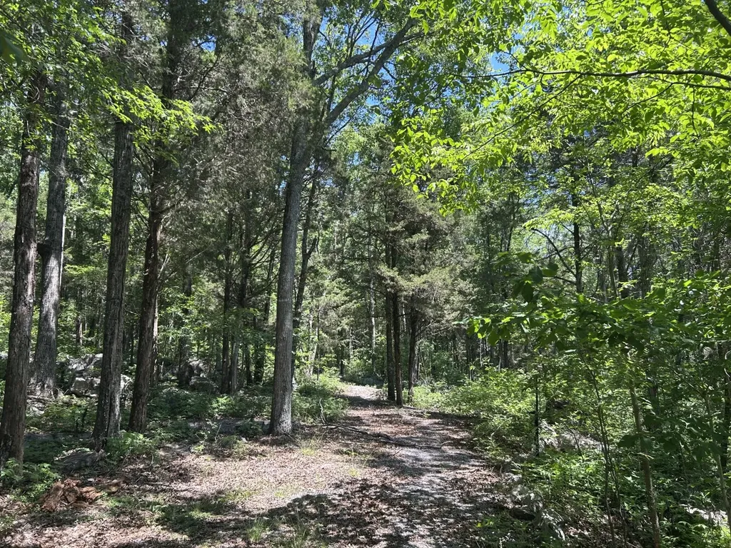 1727 County Road 17 Scottsboro AL 35768