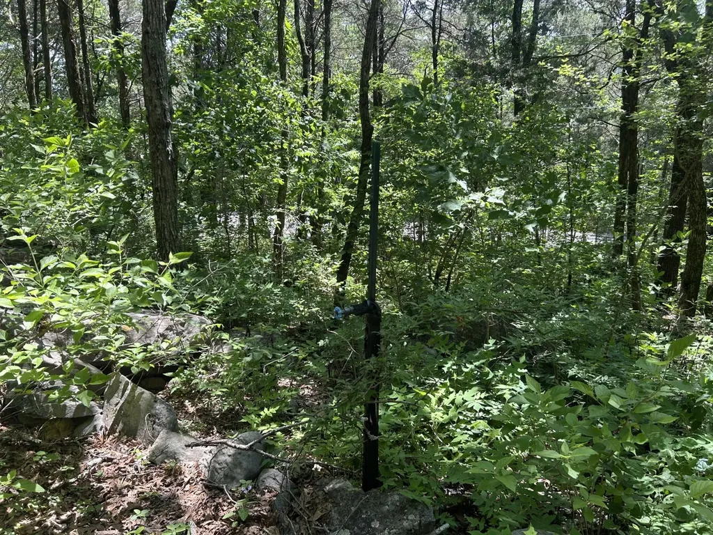 1727 County Road 17 Scottsboro AL 35768