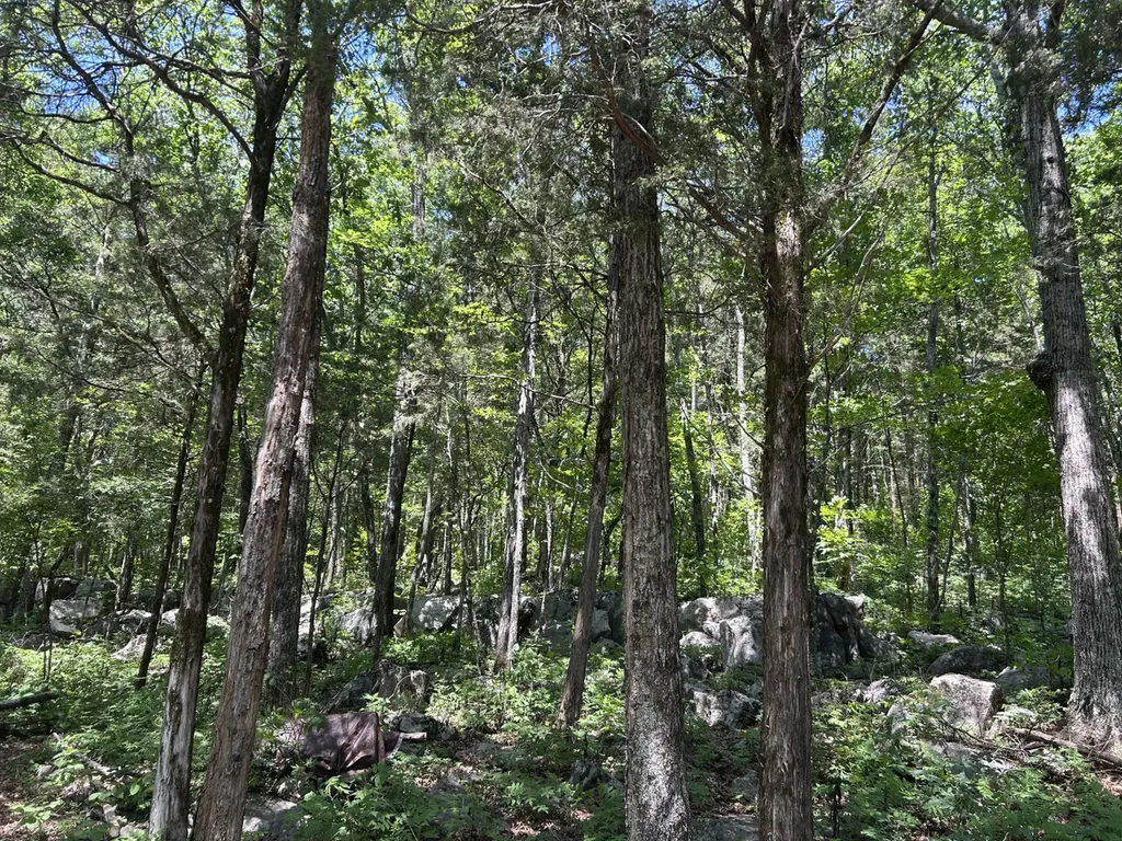 1727 County Road 17 Scottsboro AL 35768