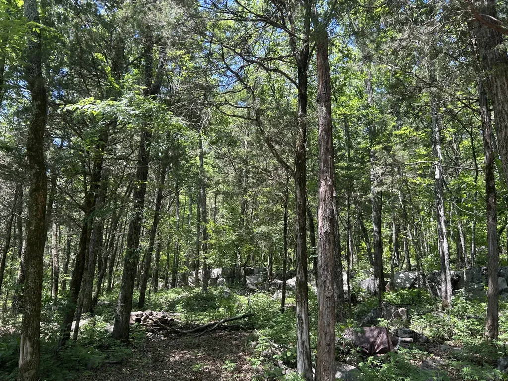 1727 County Road 17 Scottsboro AL 35768