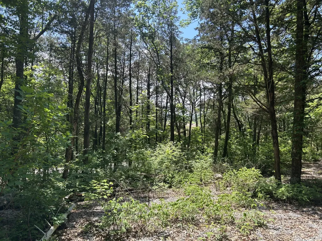 1727 County Road 17 Scottsboro AL 35768