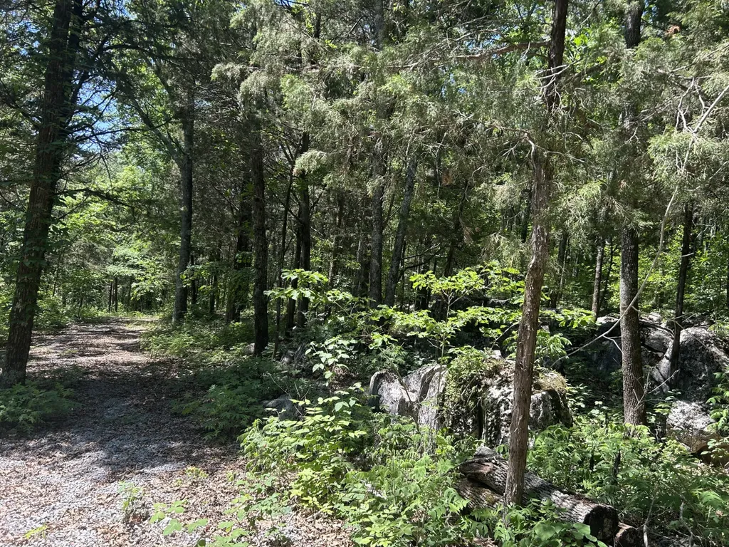 1727 County Road 17 Scottsboro AL 35768