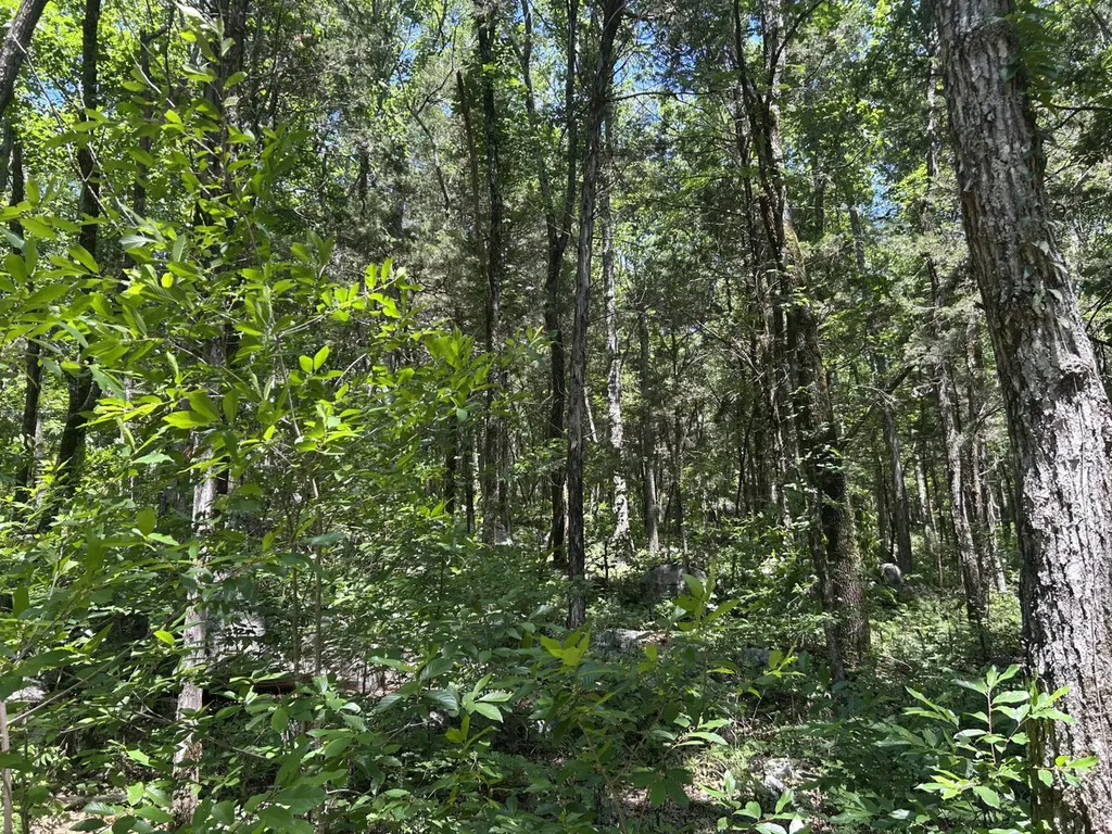 1727 County Road 17 Scottsboro AL 35768