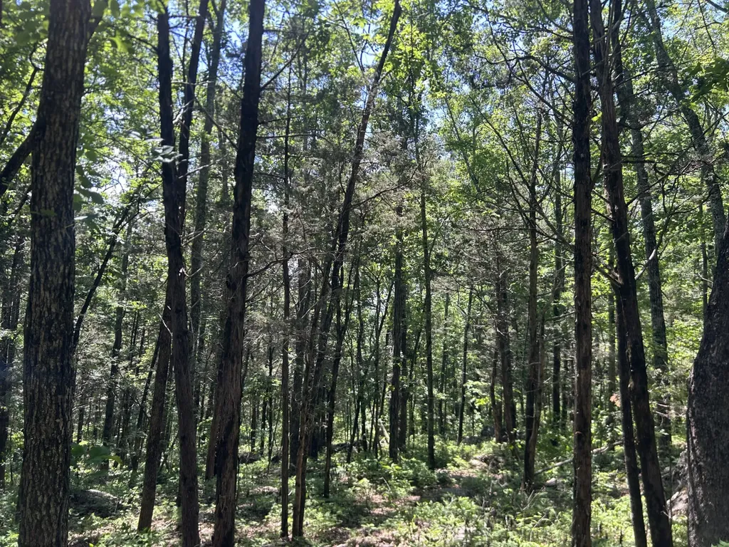 1727 County Road 17 Scottsboro AL 35768