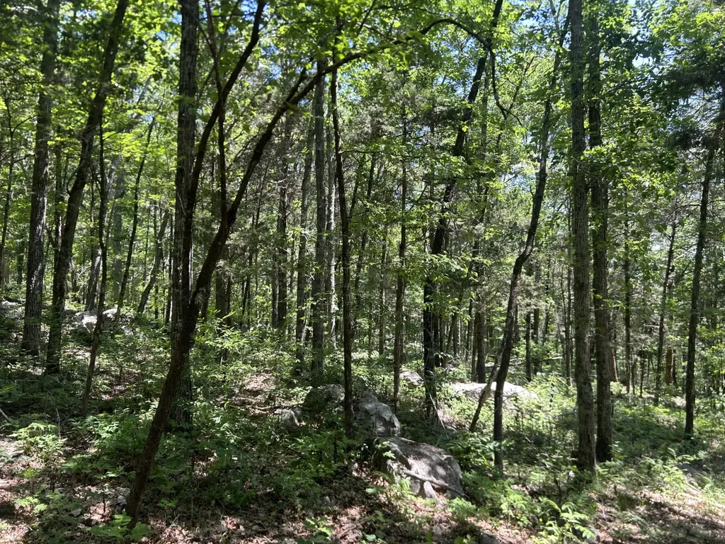 1727 County Road 17 Scottsboro AL 35768