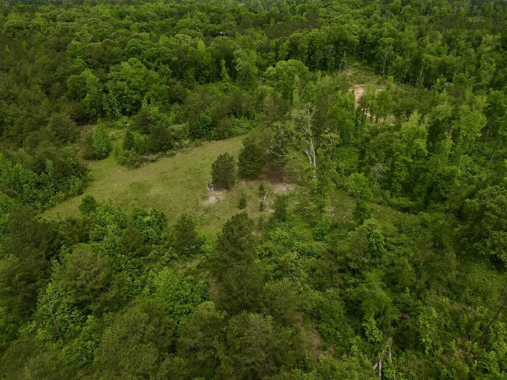 001 County Road 195 Clanton AL 35046