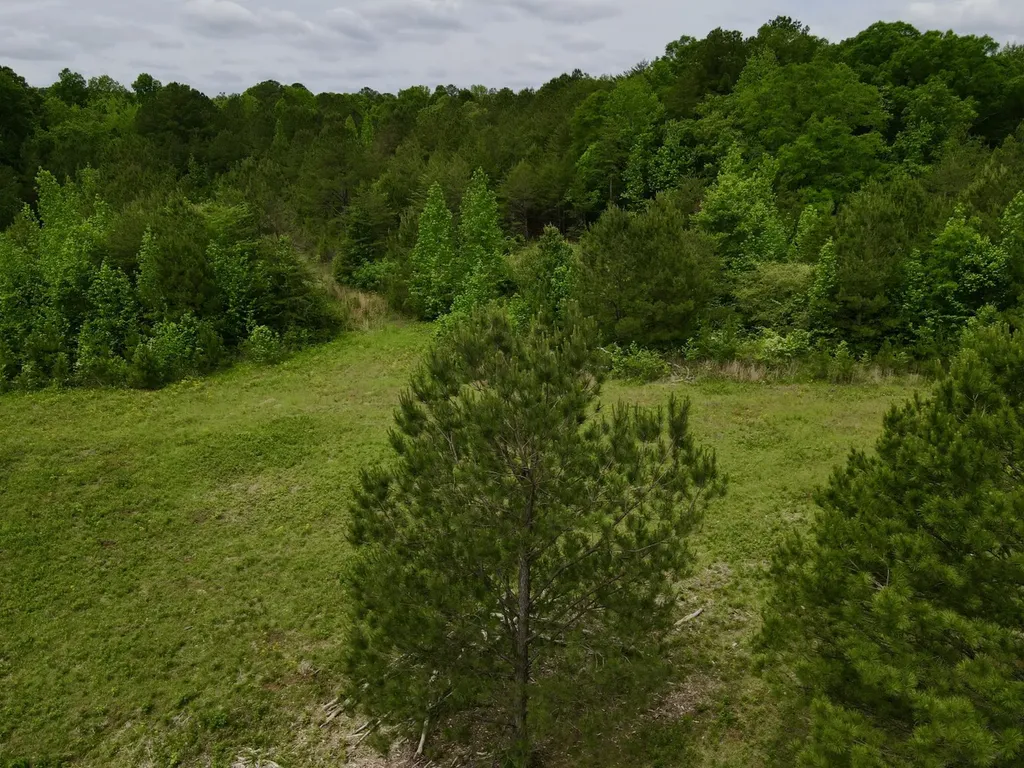 001 County Road 195 Clanton AL 35046