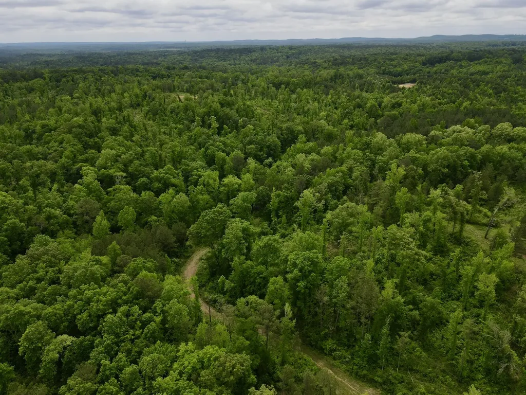 001 County Road 195 Clanton AL 35046
