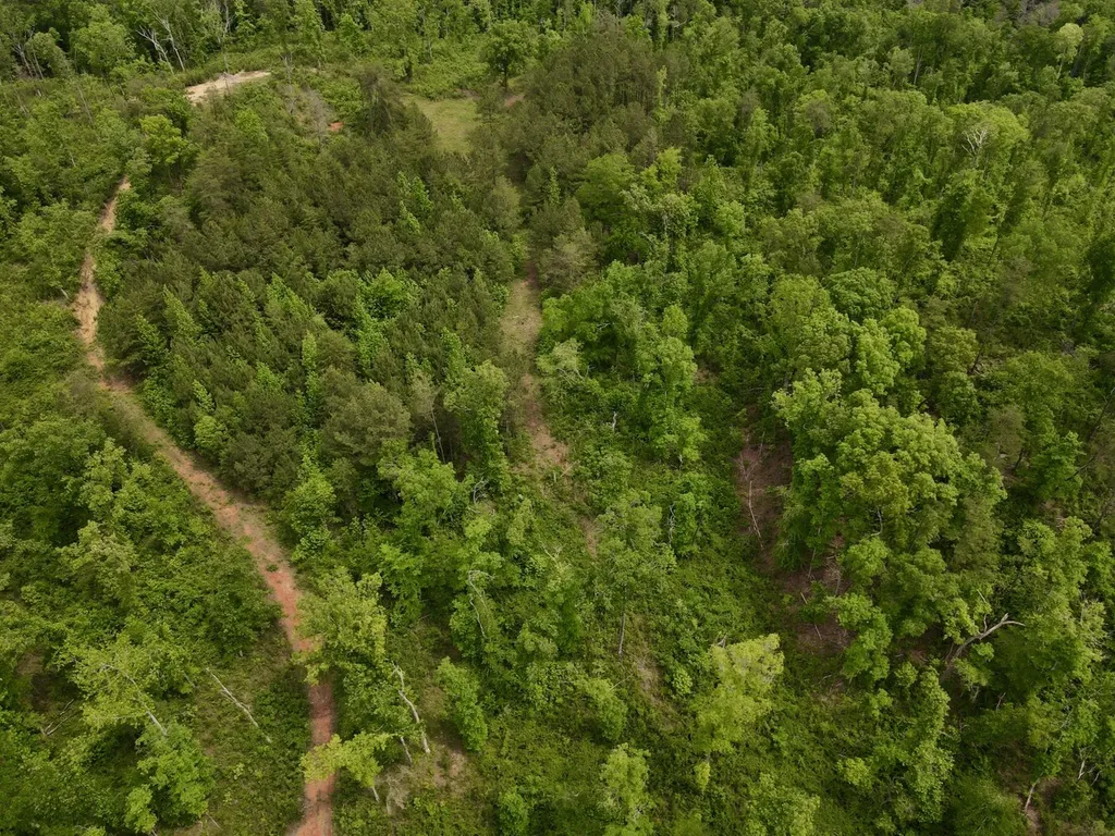 001 County Road 195 Clanton AL 35046