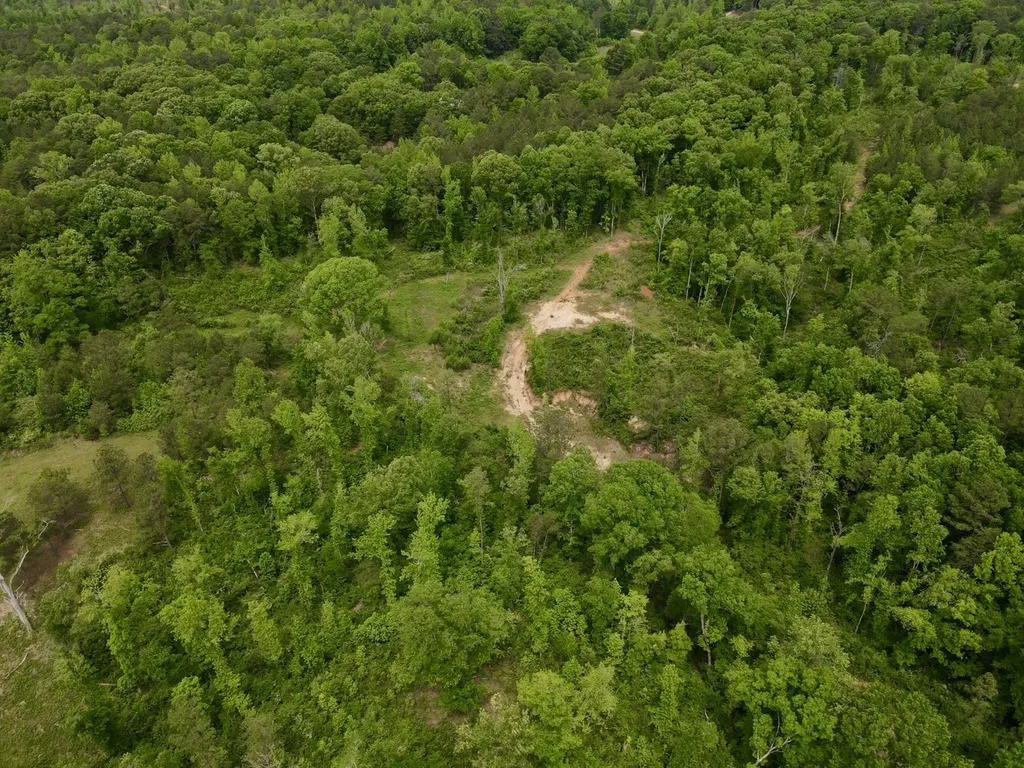 001 County Road 195 Clanton AL 35046