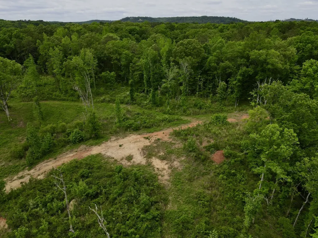 001 County Road 195 Clanton AL 35046