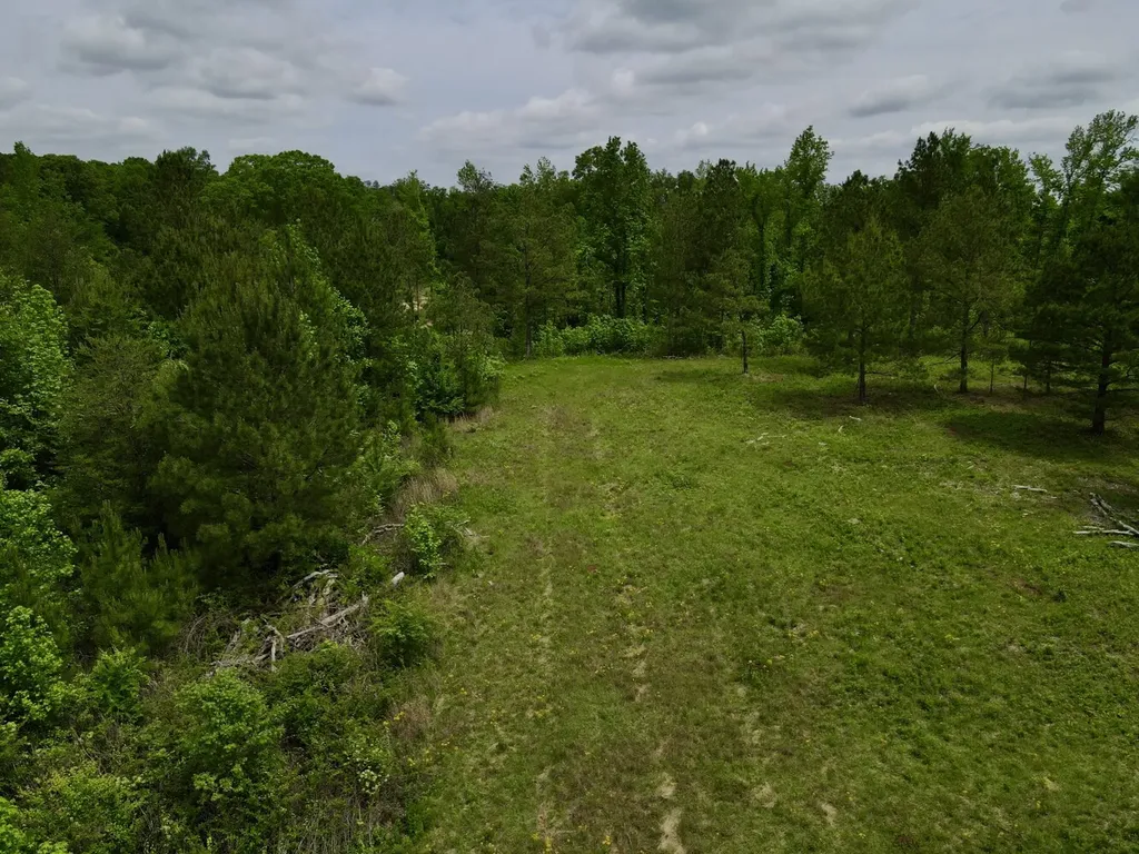 001 County Road 195 Clanton AL 35046
