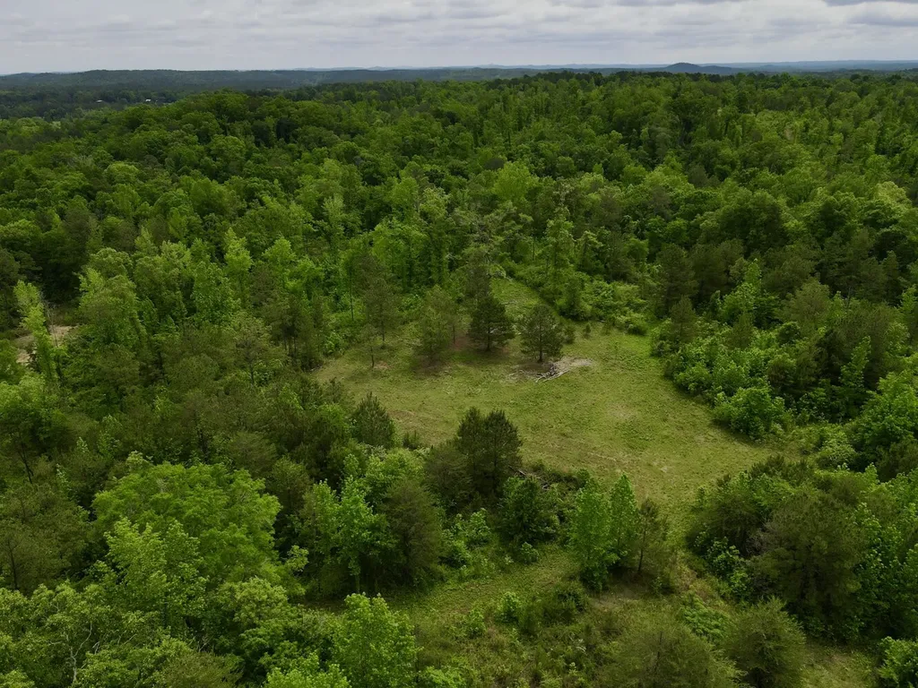 001 County Road 195 Clanton AL 35046