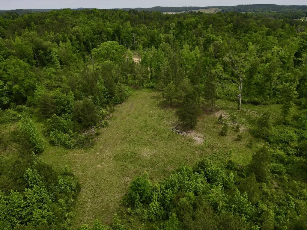 001 County Road 195 Clanton AL 35046