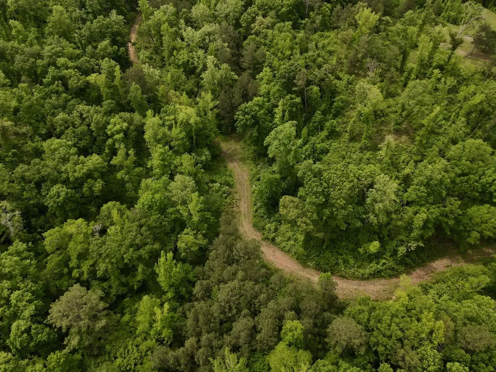 001 County Road 195 Clanton AL 35046
