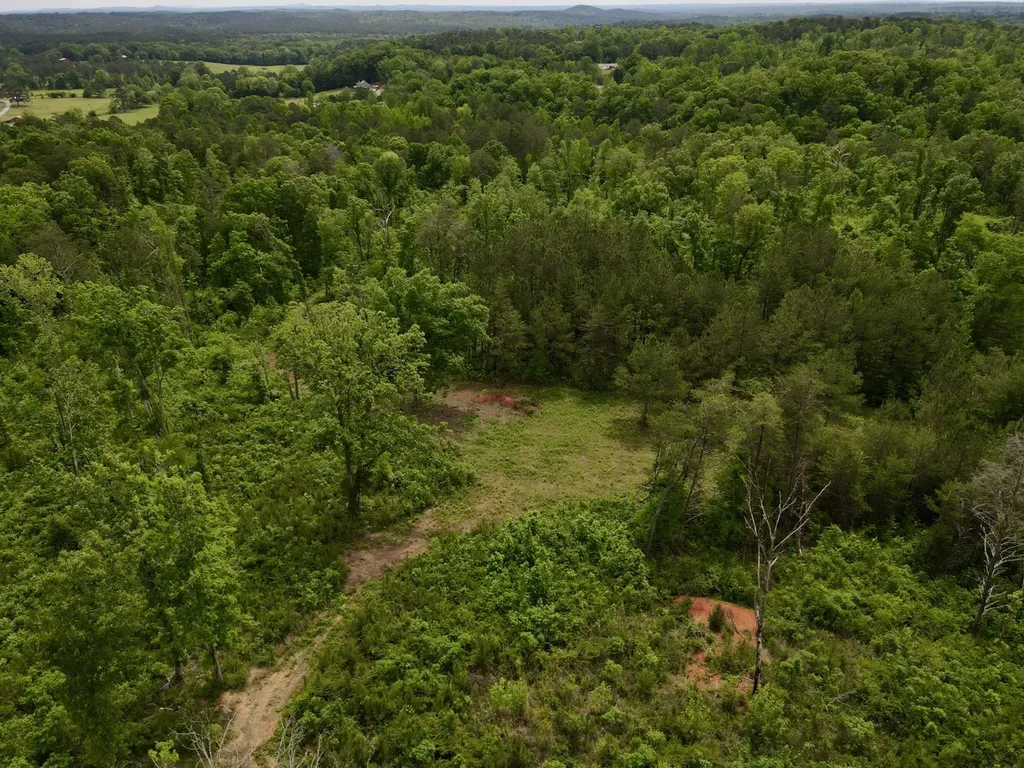 001 County Road 195 Clanton AL 35046